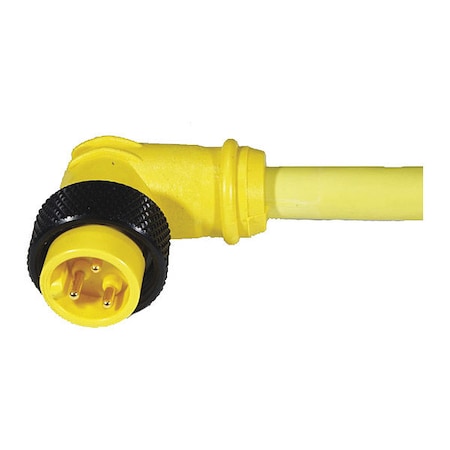 Remke 108D0120AP - Cordset,Mini,PVC,Male,8 Pole,12 ft.