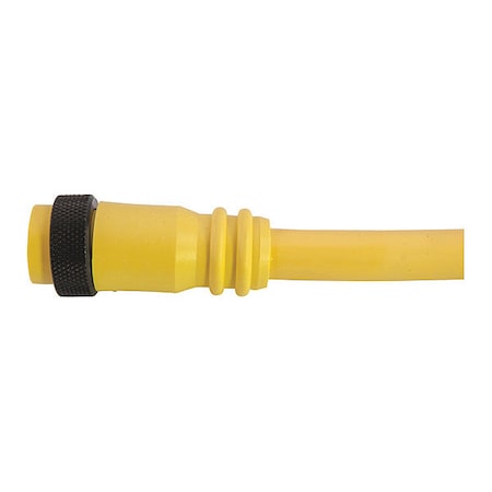 Remke 109A0120AP - Cordset,Mini,PVC,Female,9 Pole,12 ft.