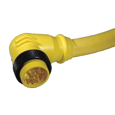 Remke 112D0060AP - Cordset,Mini,PVC,Male,12 Pole,6 ft.