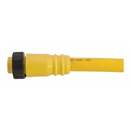 Remke 108A0120AP - Cordset,Mini,PVC,Female,8 Pole,12 ft.