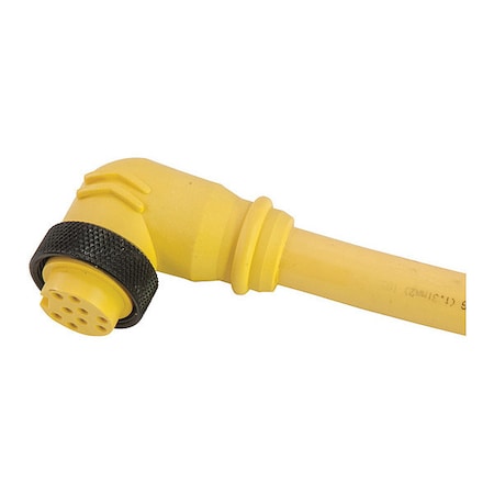 Remke 110C0030AP - Cordset,Mini,PVC,Female,10 Pole,3 ft.