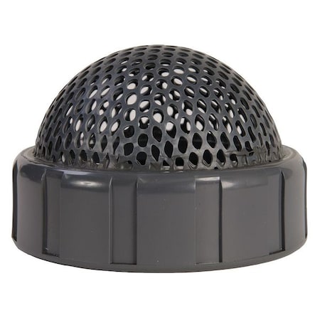 Hayward Flow Control FV20200SA - Foot Valve Screen, Ball Check, 2", CPVC