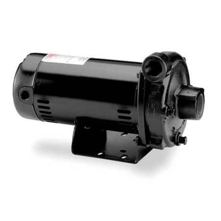 Dayton 4RJ73 - Cast Iron 3/4 HP Centrifugal Pump 208-230/460 V