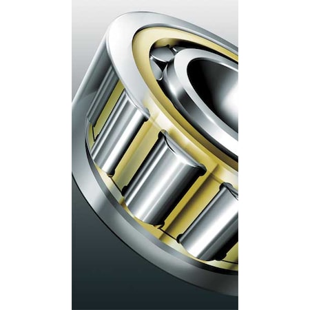 Fag Bearings NU317-E-M1-C3 - Cylindrical Roller Bearing,Bore 85 mm