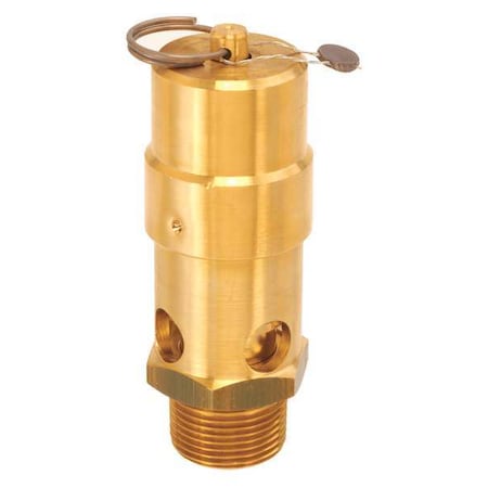 Control Devices SW10-0A200 - Air Safety Valve,1 In Inlet, 200 psi