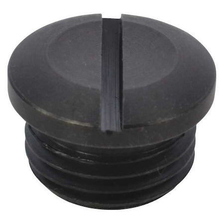 Speedaire TTR4420406G - Valve Cap