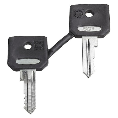 Schneider Electric ZBG421E - Replacement Key, 421 E Key Code