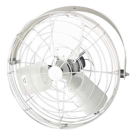 Dayton 20B4WV-W-G - Corrosion Resistant Industrial Fan, Ceiling, IBeam, Wall Mount, 20 in Blade Dia, 115/230 V