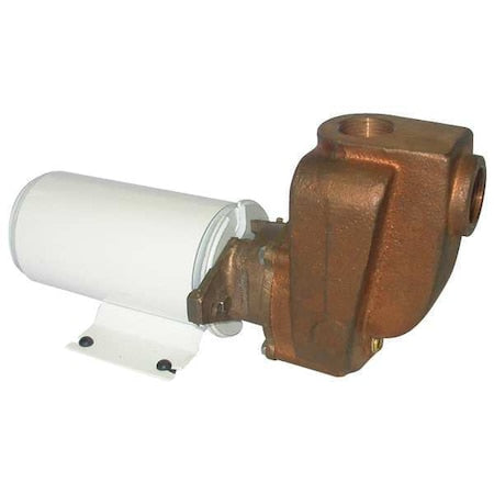 Dayton 5PXX5 - Marine Centrifugal Pump,1/8 HP,12 VDC