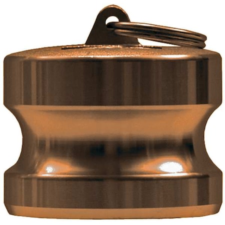 Dixon G100-DP-BR - Dust Plug,1 In,250 psi,Male Adapter