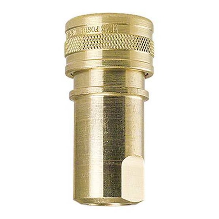 Foster H2B - Brass Socket,1/4"x1/4"FPT