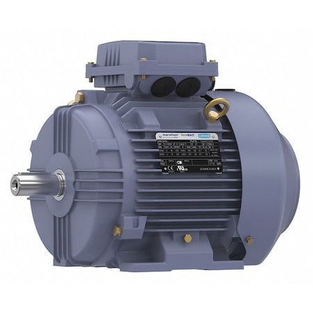 Marathon TCA0042AE211GAA009 - Metric Motor, 112 M, Rigid Base
