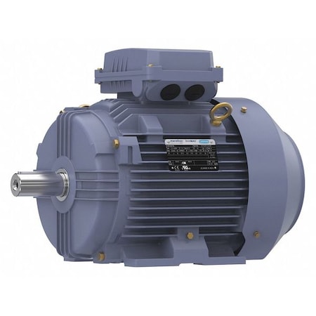 Marathon TCA7P52AP211GAA009 - Metric Motor, 132 M, Rigid Base