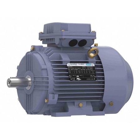 Marathon TCA1P53AE211GAA009 - Metric Motor, 100 L, Rigid Base
