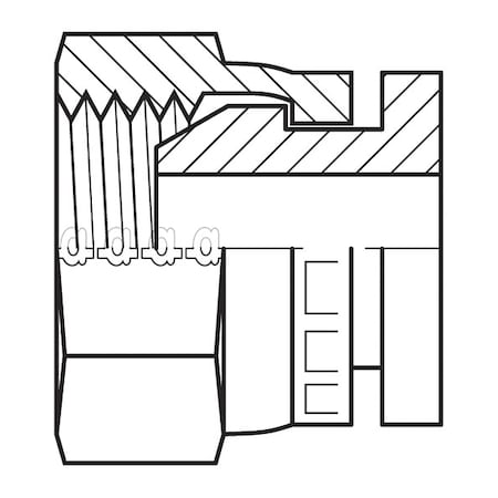 Adaptall 9033-12 - Hose Adapter,3/4",BSPP