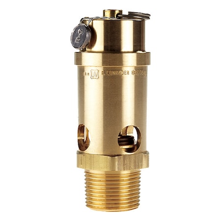 Conrader SRV765-1-060 SST - Safety Valve,1" (M) NPT Inlet
