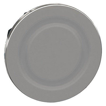 Schneider Electric ZB4FSZ3 - Blanking Plug, 30 mm, Metal, Chrome
