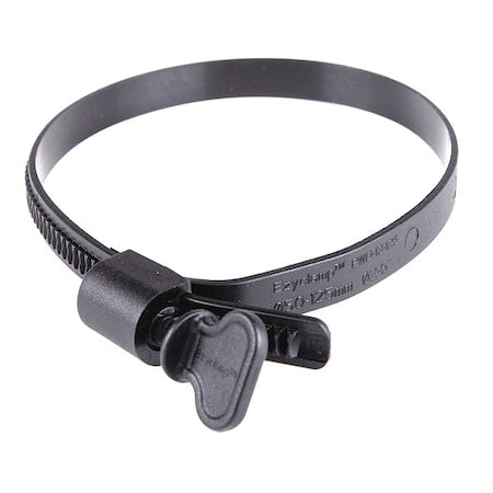 PWD-13-125-WG-PA12-BK - Worm Gear Hose Clamp, Plastic, Hex, PK10