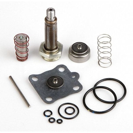 Asco 314491 - Rebuild Kit