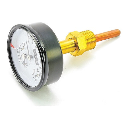Raypak 007399F - Gauge