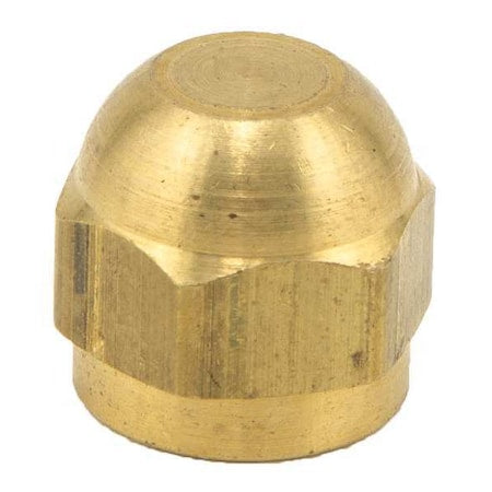Watts SAE-TC Brass Cap 1/8 SAE - Cap,1/8 In,SAE,Use w/Watts Series SAE-TC