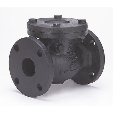 Milwaukee Valve 2974-M 2 1/2 - 2-1/2" Flanged Cast Iron Swing Check Valve