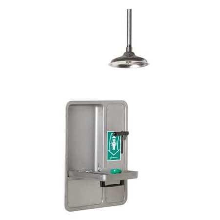 Haws 8356WCC - Shower with Eyewash, Ceiling (Shower), Wall (Eyewash) Mount, Stainless Steel Pipe, 32 in H, Silver