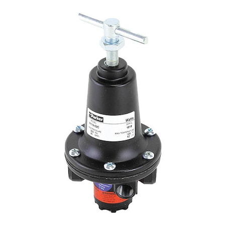 Watts R119-02CG - Regulator,1/4",0 to 125 psi,Out Steam