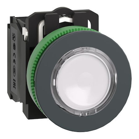 Schneider Electric XB5FW31G5 - Illuminated Push Button, 30 mm, 1 NO/1 NC, White